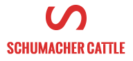 Schumacher Cattle logo